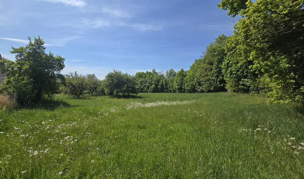Prodej stavebního pozemku 820 m², Maršovice – fotka 1 z 10