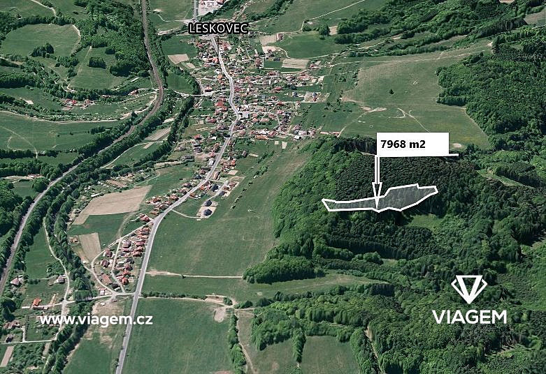 Prodej lesa 7 968 m²