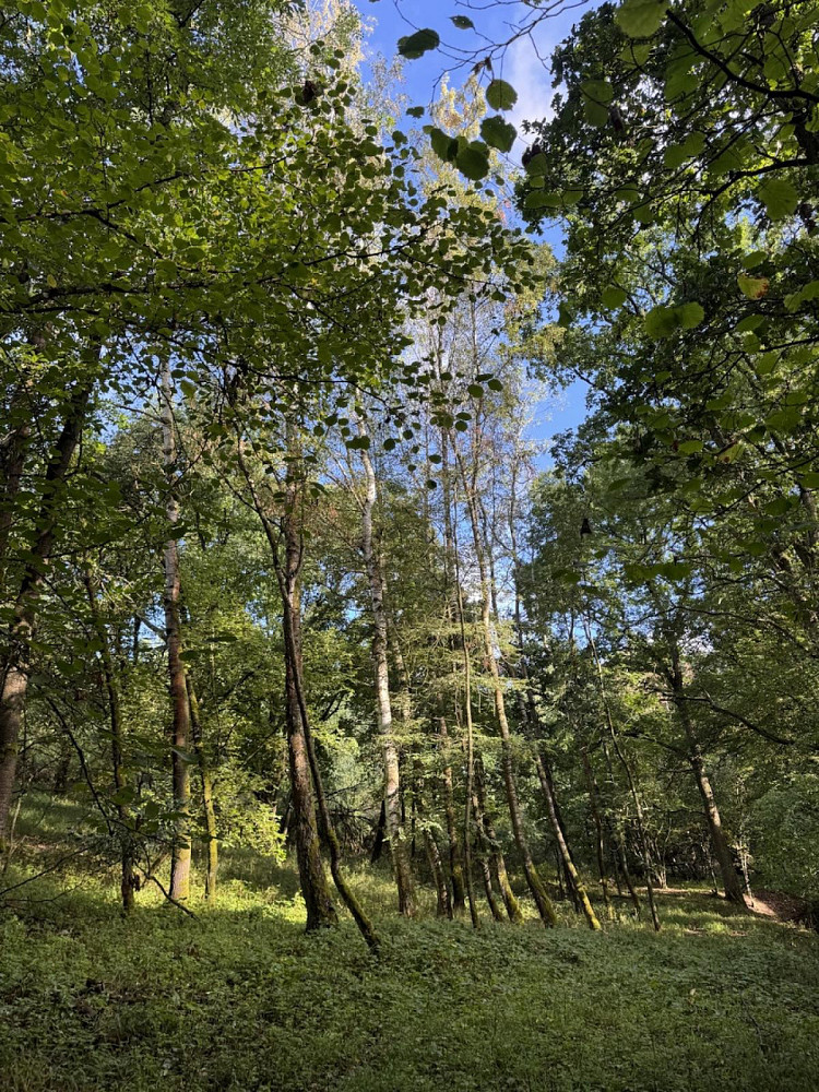 Fotka 6 z 15