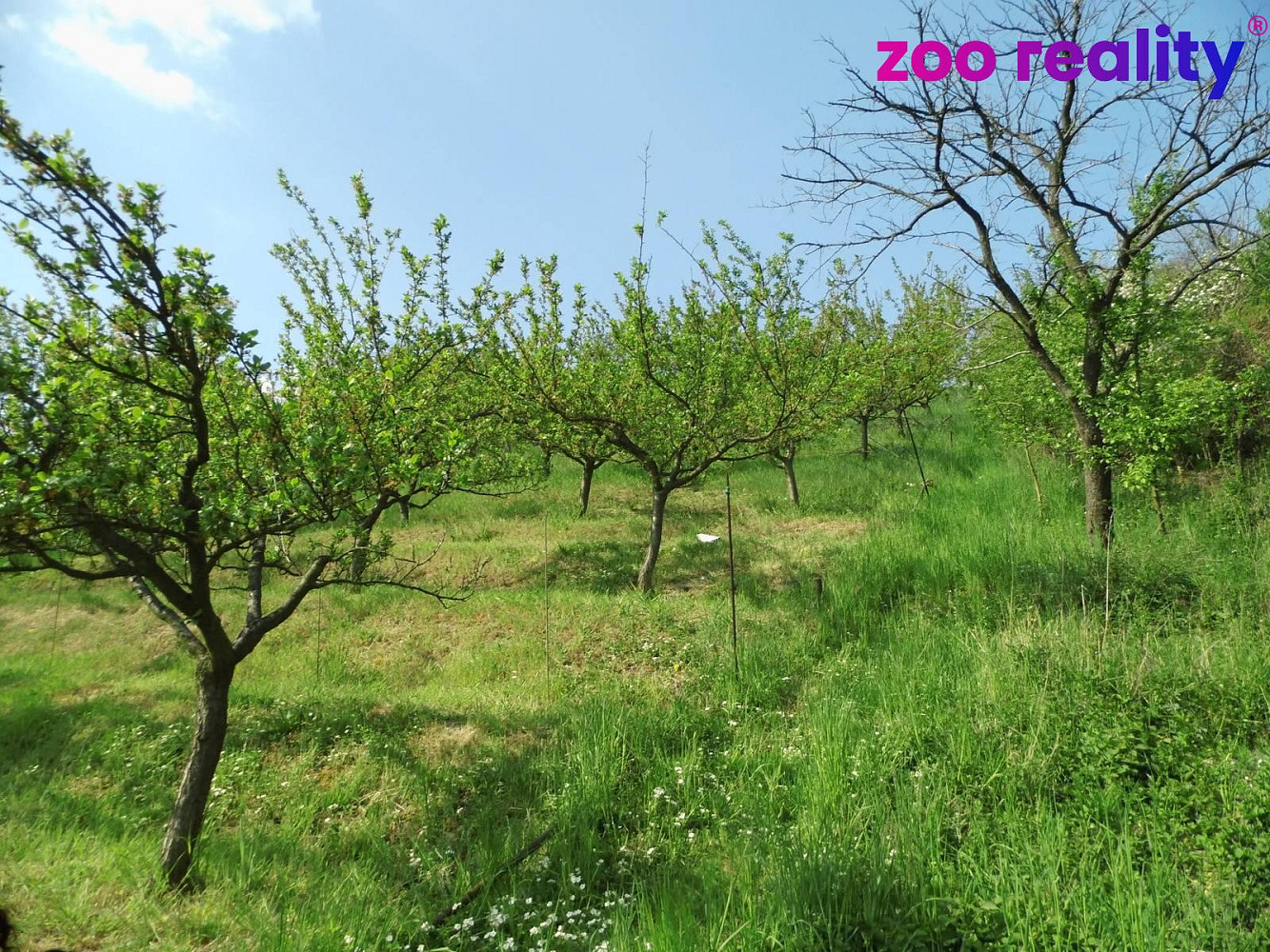 Prodej domu 43 m² s pozemkem 1 412 m² – fotografie 2