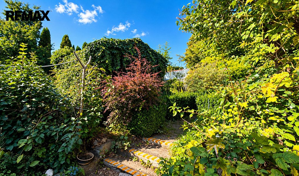 Prodej domu 170 m² s pozemkem 1 659 m², Halže – náhled fotky 10