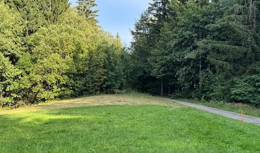 Prodej pozemku 1 194 m², Hutisko-Solanec – náhled fotky 13
