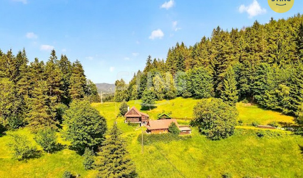 Prodej domu 2 989 m² s pozemkem 17 580 m², Hutisko-Solanec – náhled fotky 11