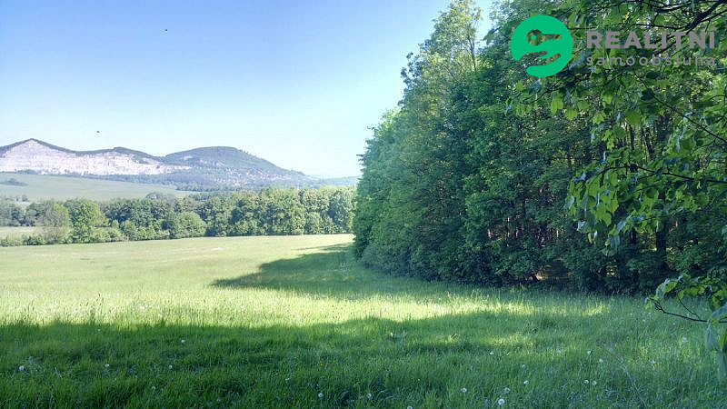 Prodej lesa 15 096 m²