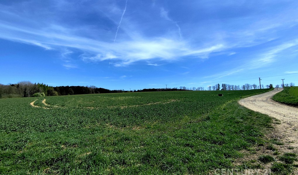 Prodej pole 40 119 m², Nová Včelnice – náhled fotky 6