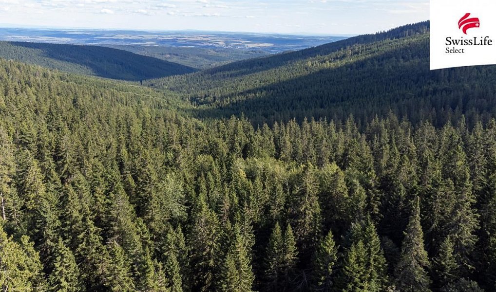 Prodej komerčního pozemku 1 558 m², Stará Ves – náhled fotky 13