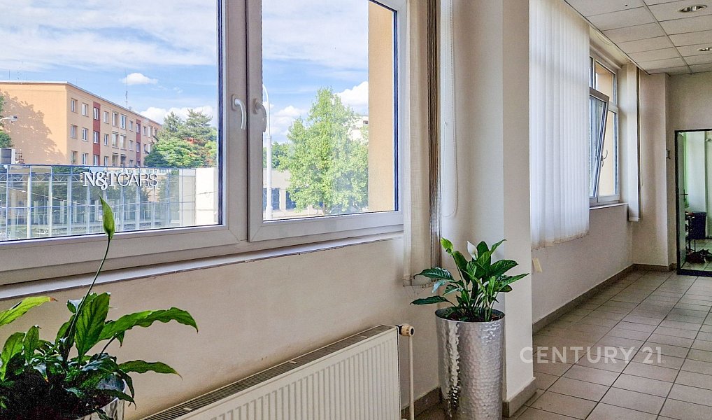 Pronájem kanceláře 40 m², Praha – náhled fotky 9