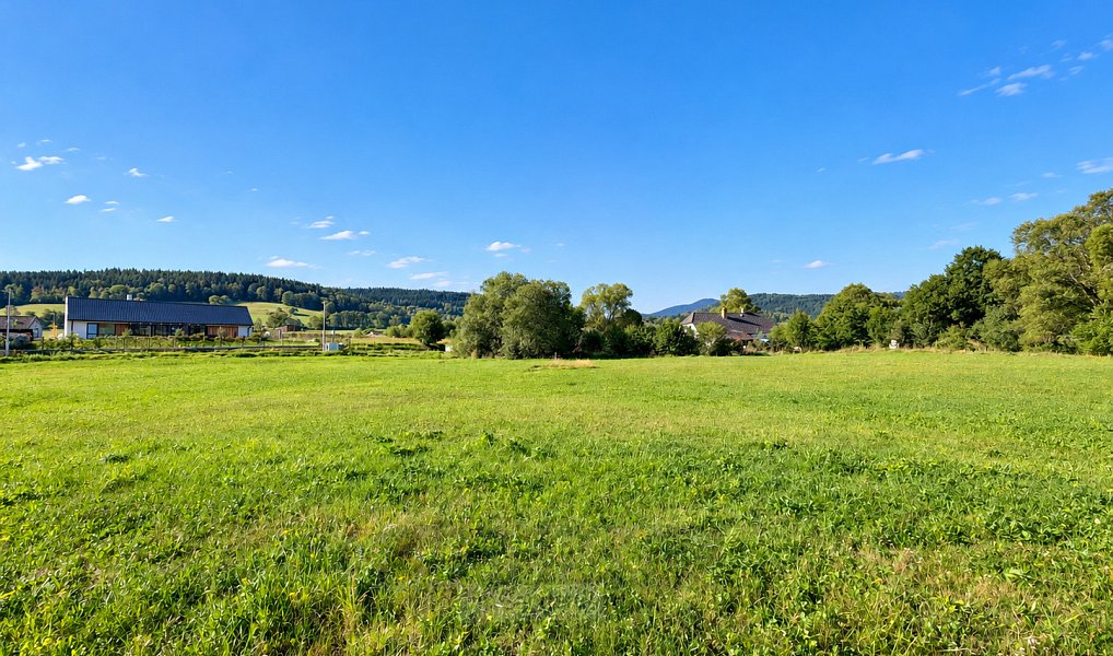 Prodej stavebního pozemku 1 975 m², Záblatí – náhled fotky 8