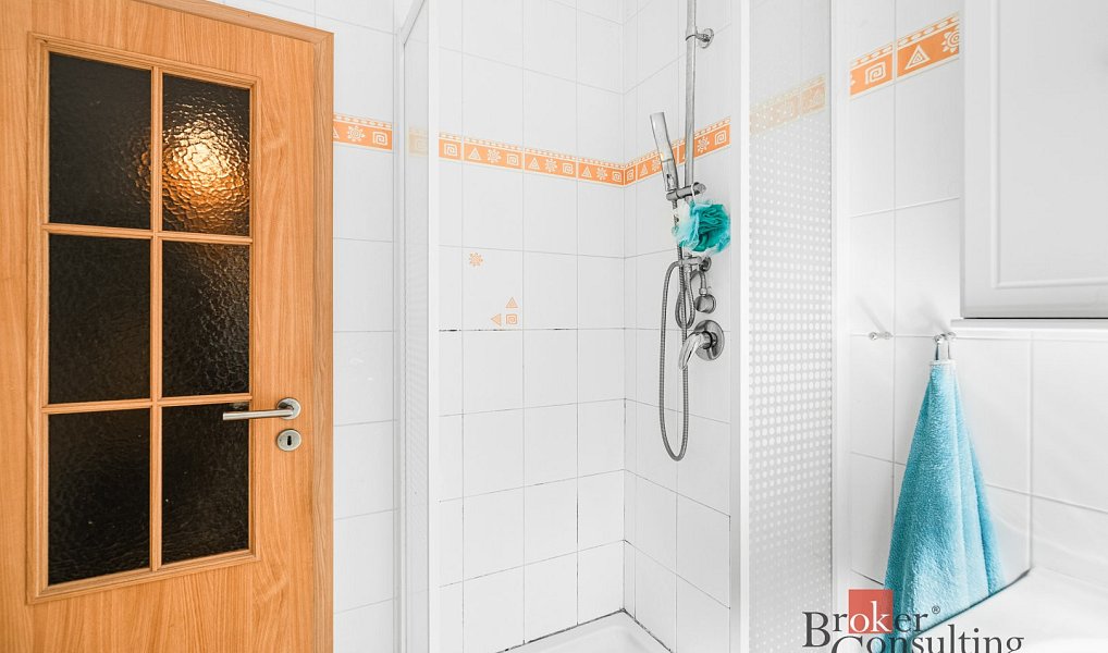 Prodej domu 196 m² s pozemkem 252 m², Horní Bříza – náhled fotky 6