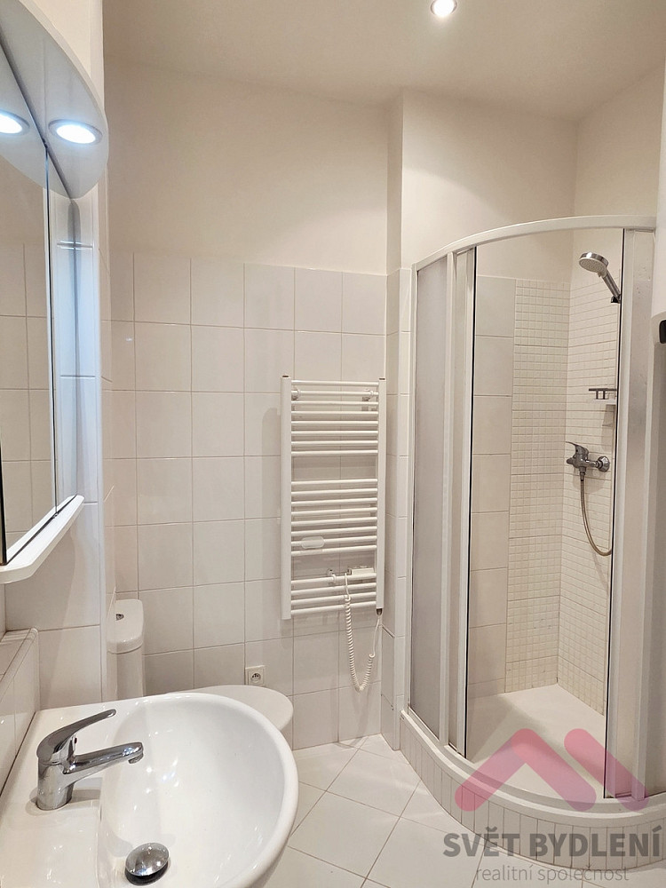 Pronájem bytu 1+kk 32 m² — photo 2