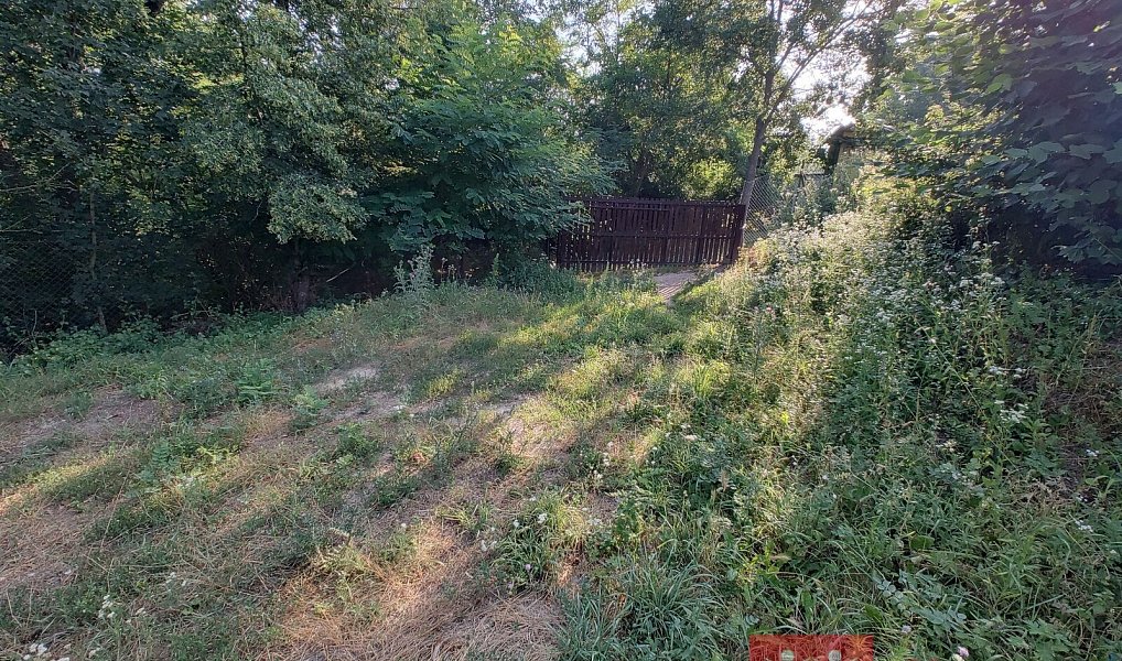 Prodej chaty/chalupy 16 m² s pozemkem 2 618 m², Nový Šaldorf-Sedlešovice – náhled fotky 25