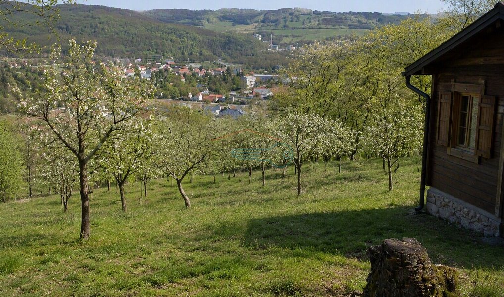 Prodej pozemku 8 255 m², Vráž – náhled fotky 2