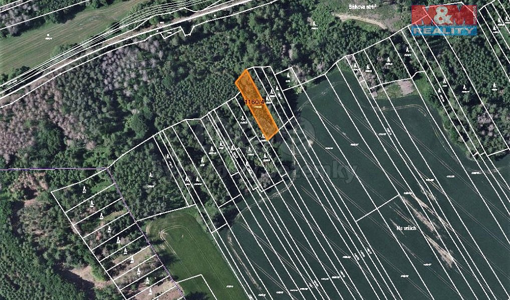 Prodej lesa 1 133 m², Trhový Štěpánov – náhled fotky 4
