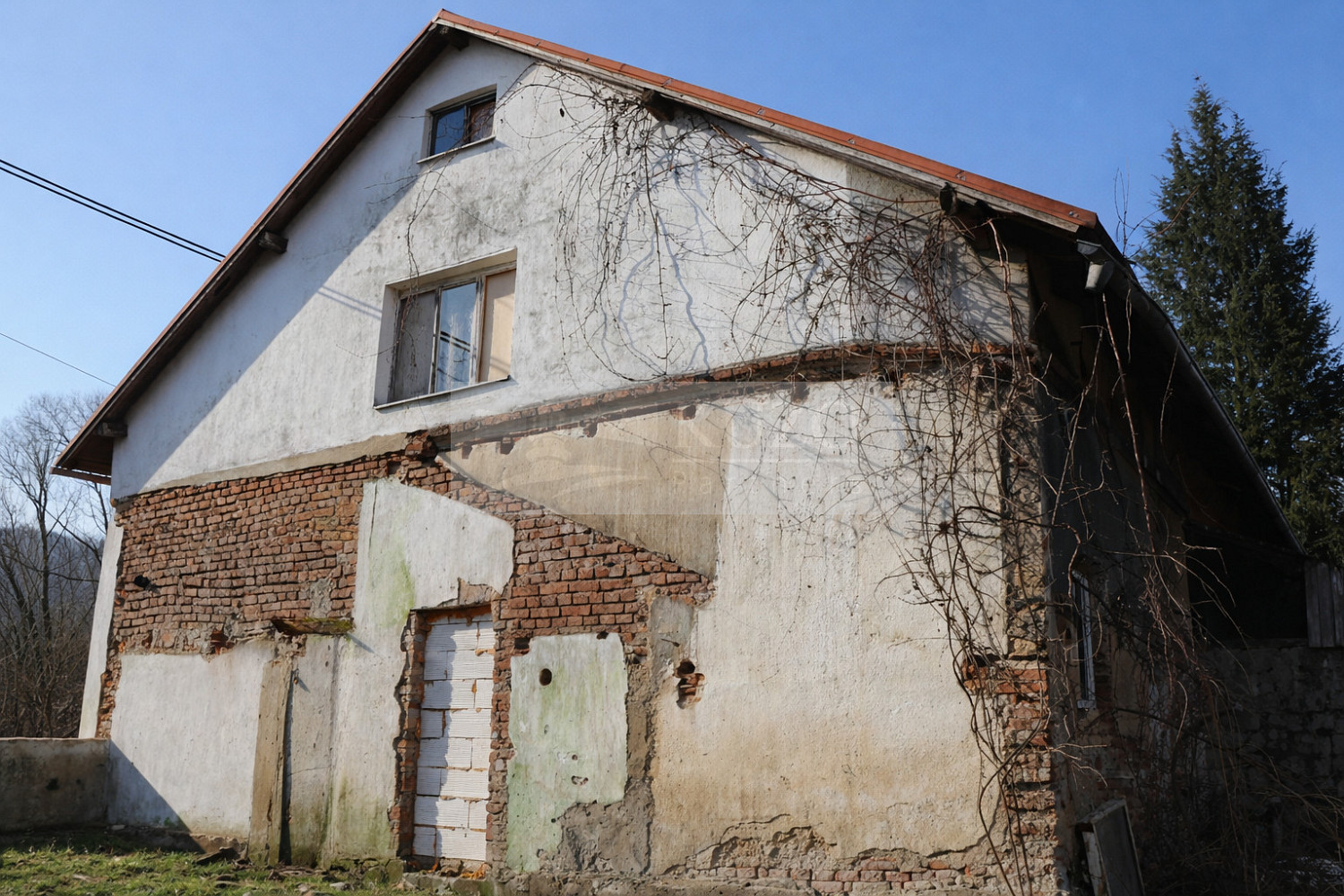 Prodej domu 250 m² s pozemkem 1 105 m² – fotografie 3