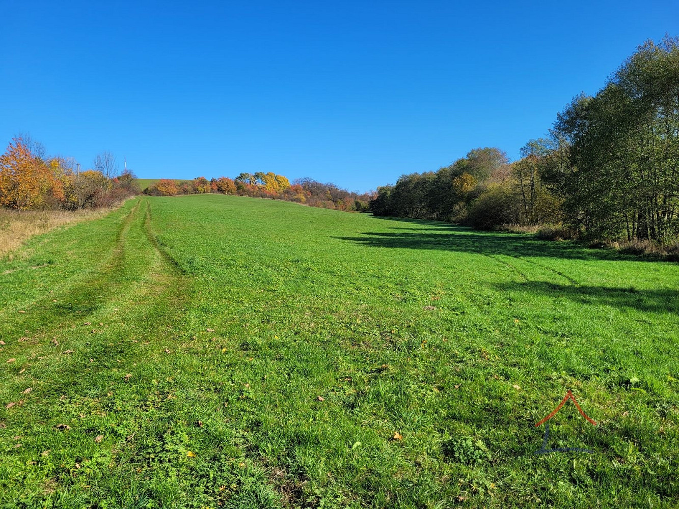 Prodej louky 52 559 m²