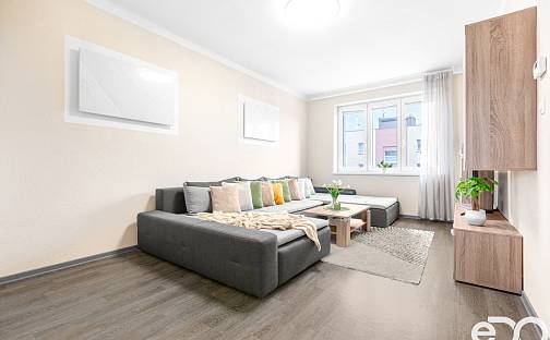 Prodej bytu 2+1 75 m², Mánesova, Plzeň - Jižní Předměstí