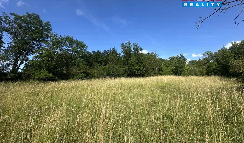 Prodej zahrady 625 m², Bechlín – náhled fotky 2