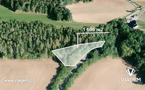 Prodej lesa 803 m², Čím, okres Příbram