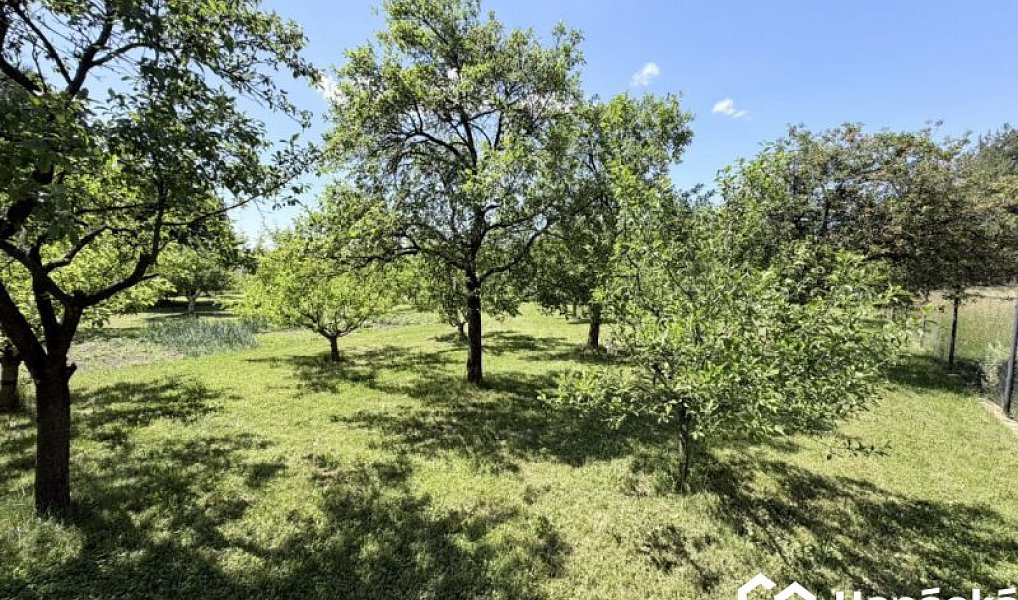 Prodej zahrady 808 m², Jankovice – náhled fotky 9