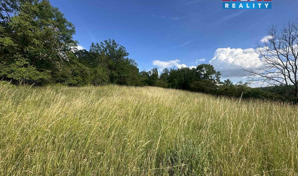 Prodej zahrady 625 m², Bechlín – náhled fotky 3