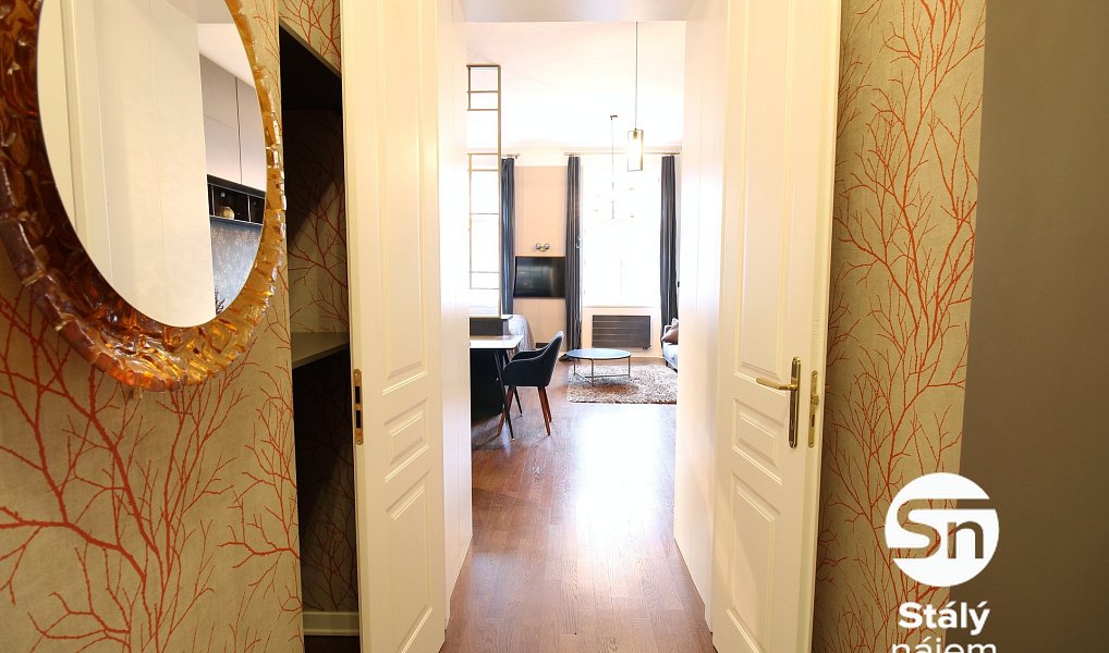 Pronájem bytu 1+kk 41 m², Praha – náhled fotky 6