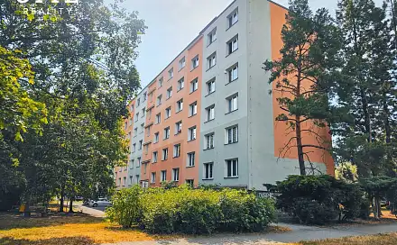 Prodej bytu 3+1 61 m², Raisova, Plzeň - Jižní Předměstí