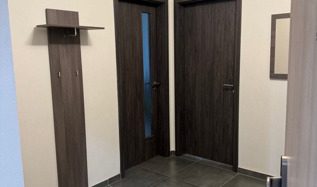 Prodej bytu 3+kk 72 m², Plzeň – náhled fotky 8