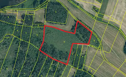 Prodej lesa 19 057 m², Malý Bor, okres Klatovy