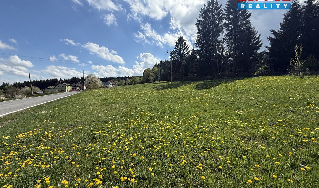 Prodej stavebního pozemku 2 109 m², Pěnčín – náhled fotky 2