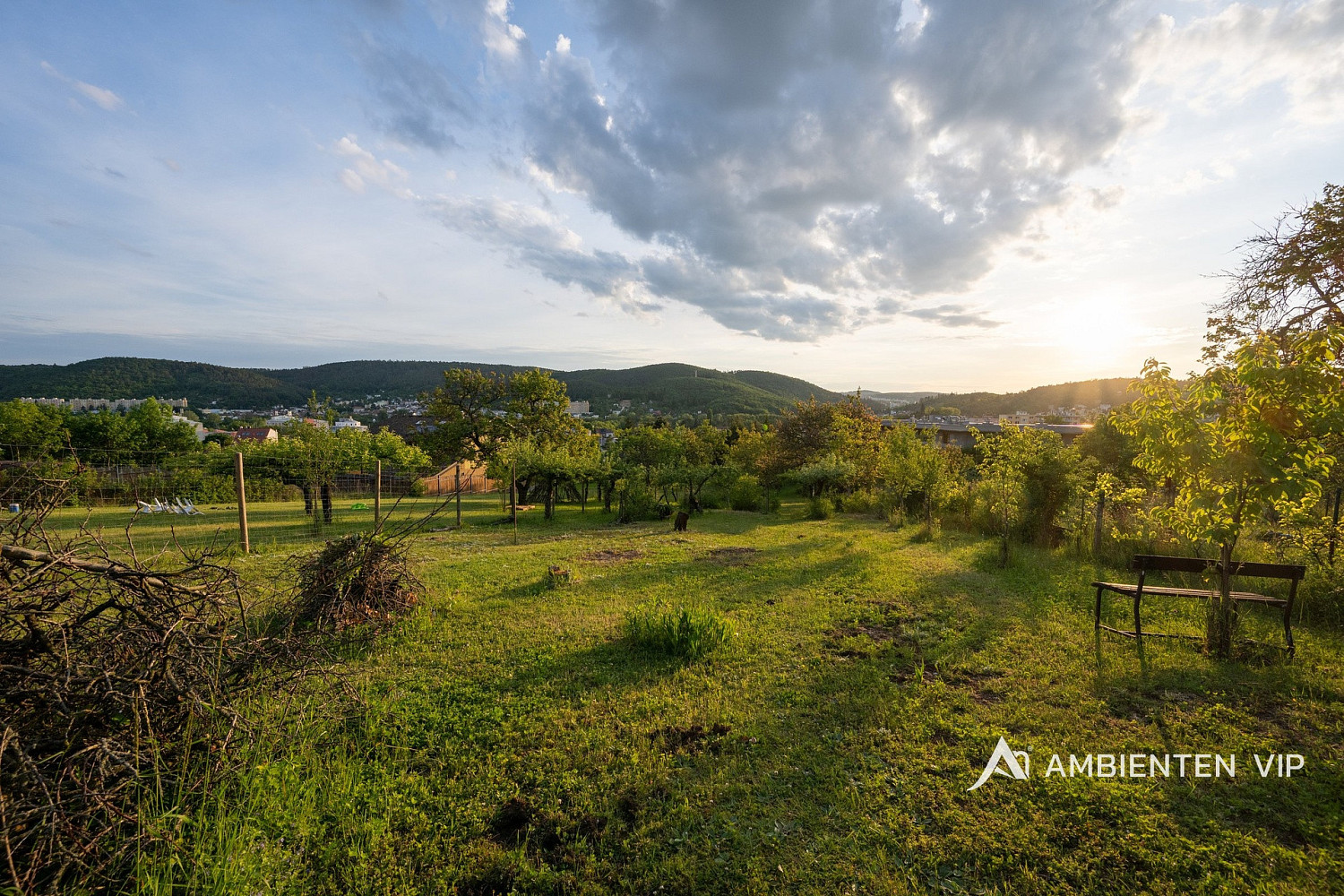 Prodej stavebního pozemku 1 451 m² – fotografie 5