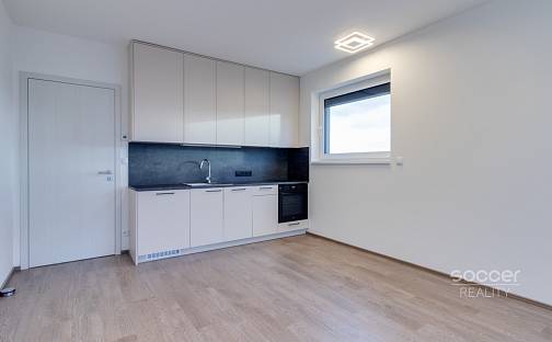 Pronájem bytu 1+kk 32 m², Šternovská, Praha 4 - Chodov