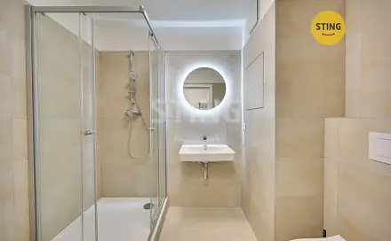 Pronájem bytu 1+kk 30 m², Aloise Rašína, Olomouc - Řepčín