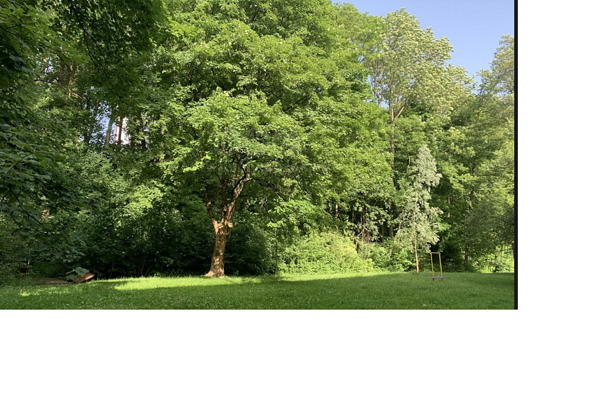 Prodej komerčního pozemku 9 272 m² — photo 3