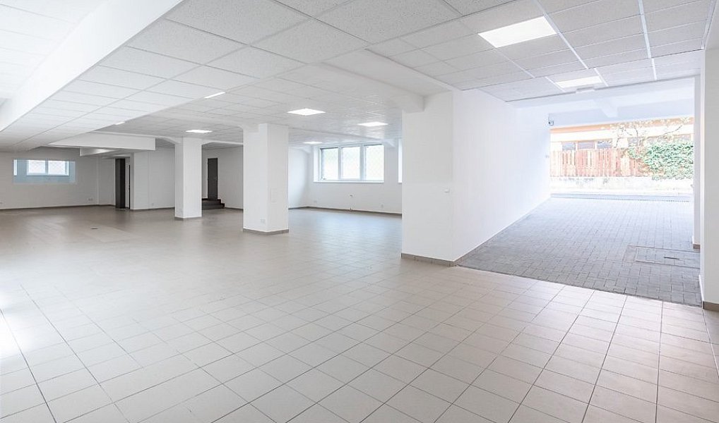 Pronájem skladovacích prostor 1 463 m², Hovorčovice – náhled fotky 6