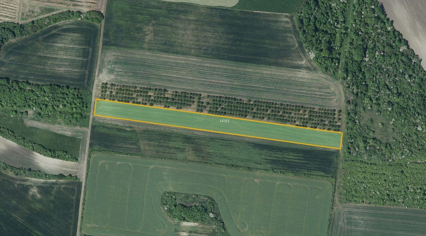 Prodej pole 8 289 m²