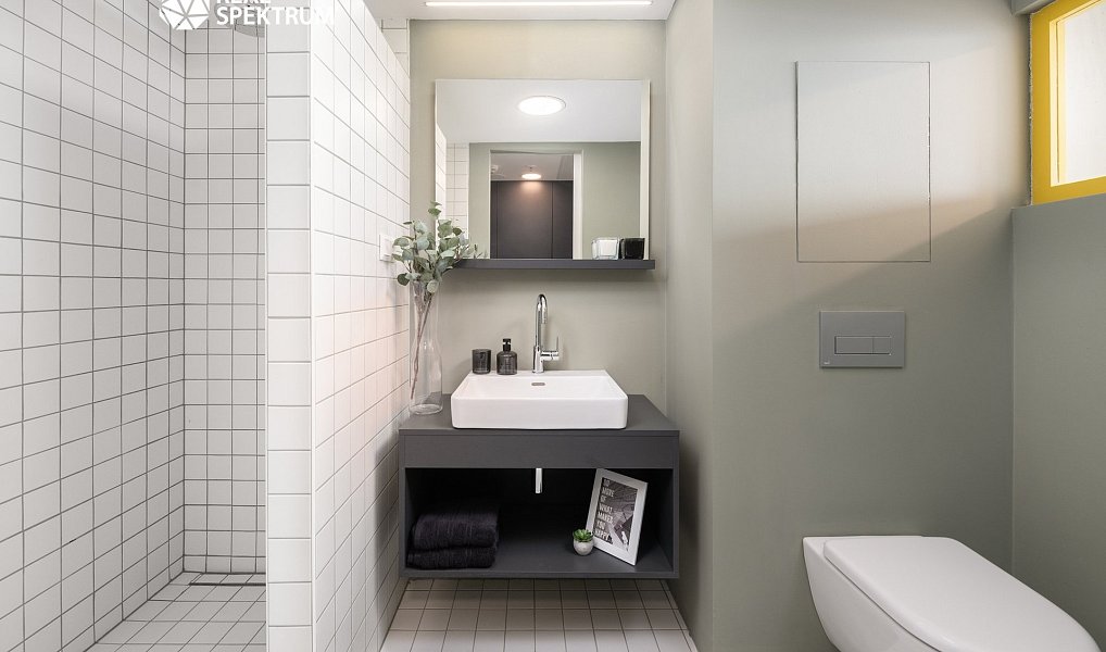 Pronájem bytu 1+kk 24 m², Brno – náhled fotky 4