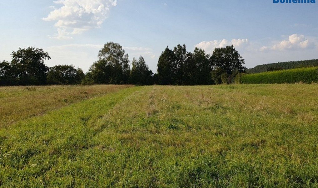 Prodej stavebního pozemku 1 850 m², Dobrovice – náhled fotky 6