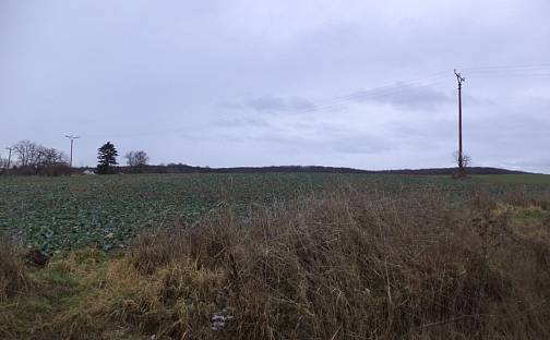 Dražba pole 6 867 m², Morkůvky