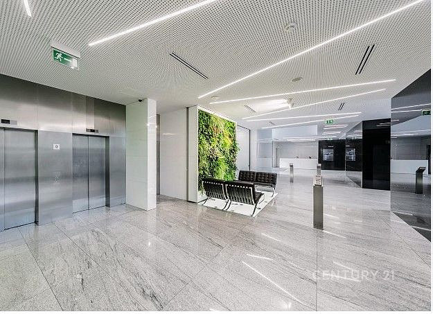 Pronájem kanceláře 450 m²