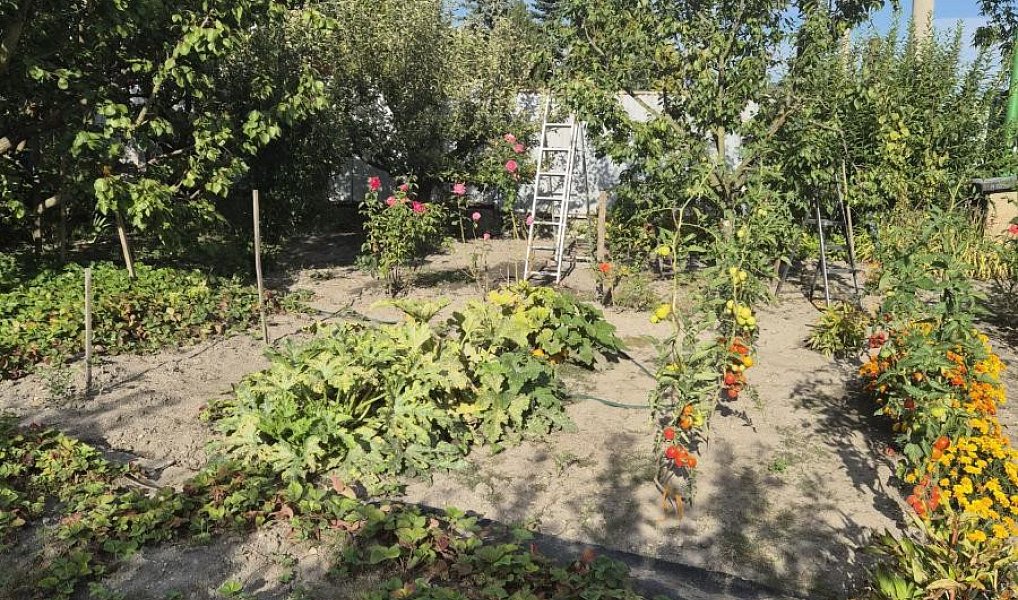 Prodej chaty/chalupy 20 m² s pozemkem 387 m², Kladno – náhled fotky 8