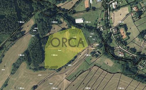 Prodej pozemku 8 242 m², Bernartice, okres Trutnov