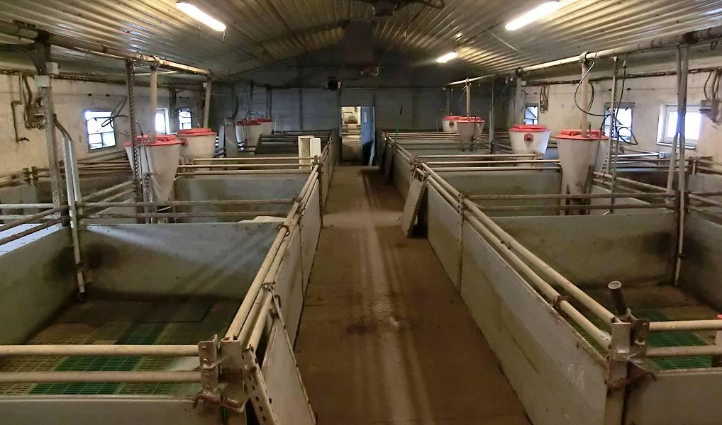Prodej zemědělského objektu 2 000 m², Majdalena – náhled fotky 9