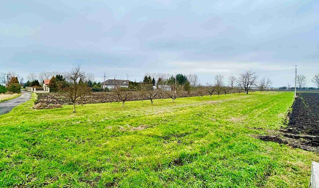 Prodej zahrady 2 629 m², Hulín – náhled fotky 2