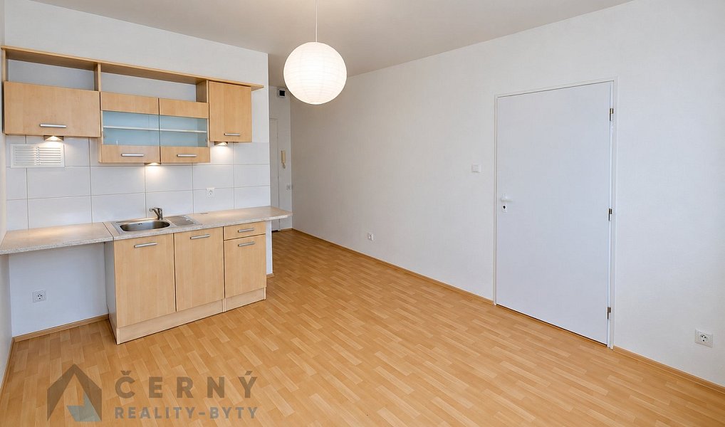 Pronájem bytu 1+1 36 m², Liberec – náhled fotky 5