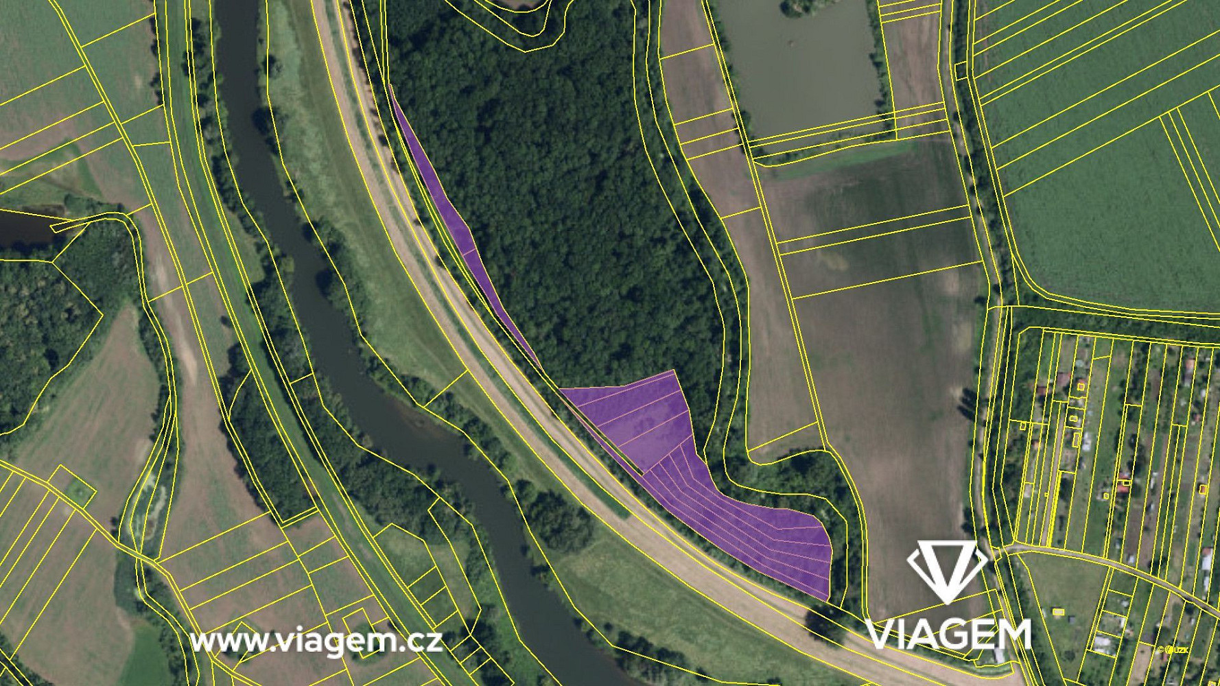 Prodej lesa 1 692 m² – fotografie 4