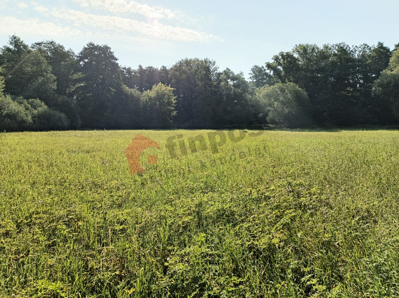 Prodej vodní plochy 23 278 m² – fotografie 5