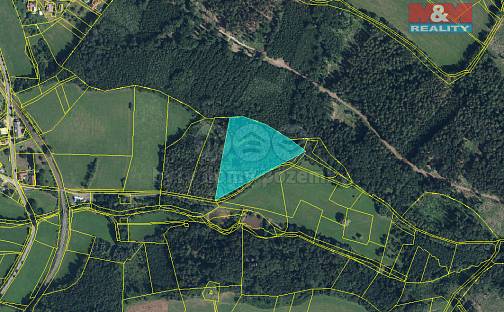 Prodej lesa 15 253 m², Libuň - Jivany, okres Jičín