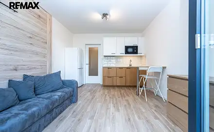 Pronájem bytu 1+kk 25 m²