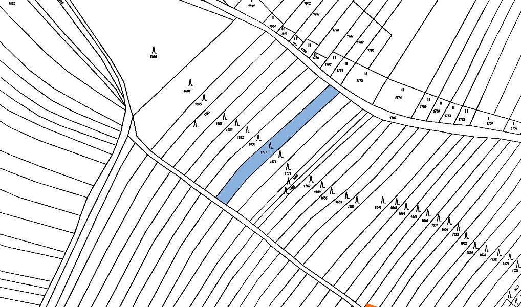 Prodej lesa 766 m², Borkovany – náhled fotky 2