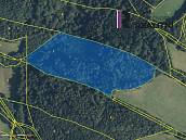 Prodej lesa 28961m2
